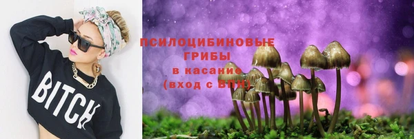 ешки Аркадак