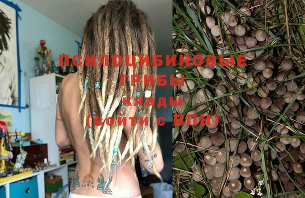 spice Арсеньев