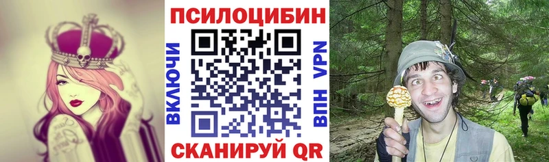 Псилоцибиновые грибы Psilocybine cubensis  Олёкминск 